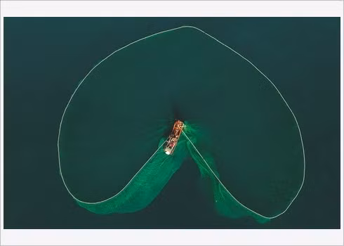 La beauté de la pêche aux anchois au Vietnam célébrée par le Daily Mail ảnh 3