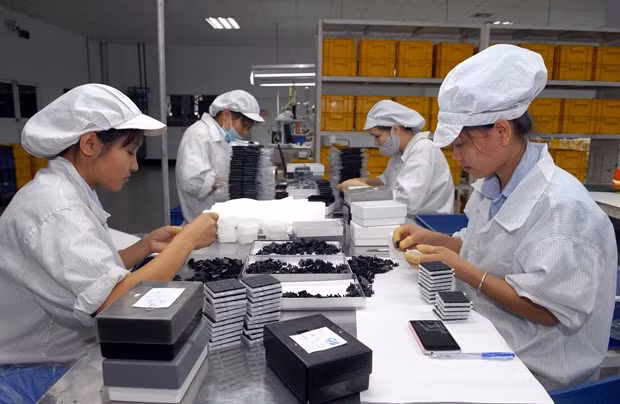 Le ministère de l'Industrie et du Commerce promulgue une circulaire sur les règles d'origine dans l'EVFTA ảnh 1