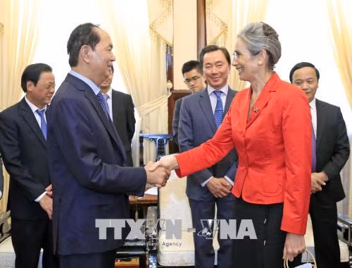 Le président Tran Dai Quang reçoit l’ambassadrice néerlandaise ​ ảnh 1