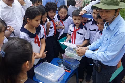 Hô Chi Minh-Ville : Apprendre en-dehors de la classe au niveau primaire ảnh 2