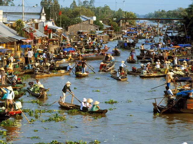 Le delta du Mékong parmi les destinations les plus attrayantes en décembre ảnh 1