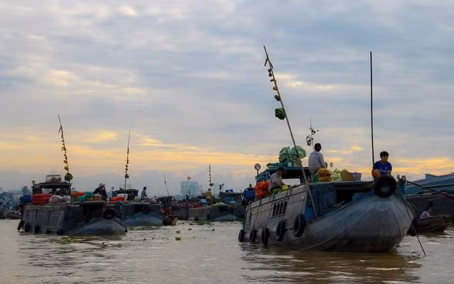 Plongée dans les marchés flottants du delta du Mékong ảnh 2