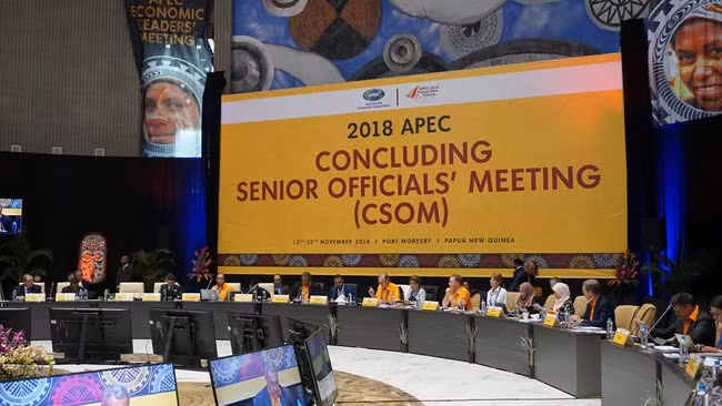 Le Vietnam participe à la CSOM 2018 de l'APEC en Papouasie-Nouvelle-Guinée ảnh 1