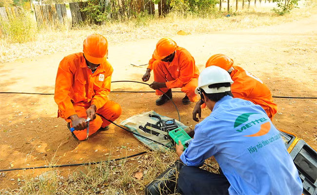 Le Vietnam investit dans 125 projets à l’étranger en 11 mois ảnh 1