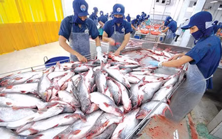 2017 : une bonne année pour l’aquaculture ảnh 1 2017 : une bonne année pour l’aquaculture ảnh 1