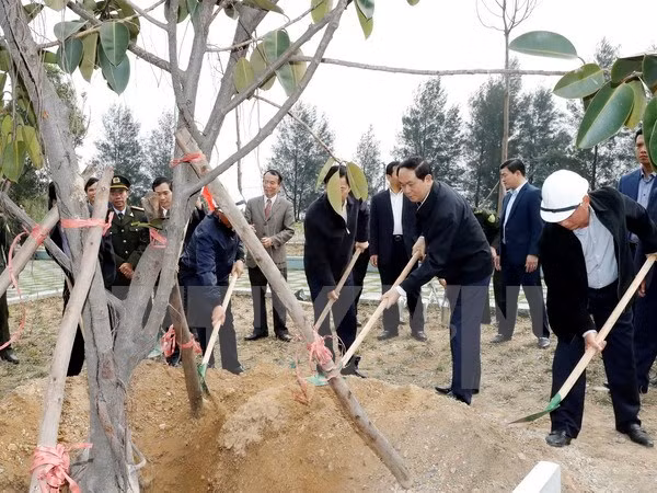 Lancement de la Fête de plantation d'arbres du Printemps Dinh Dâu 2017 ảnh 1
