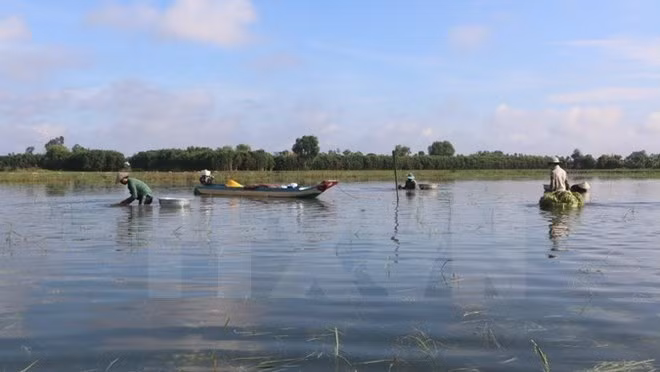 Plus de 600 milliards de dôngs investis dans le projet de réduction des risques de crues ảnh 1