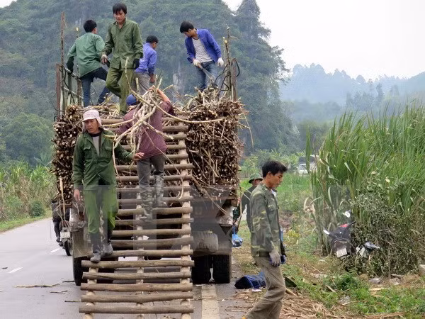 Le Vietnam s’intéresse toujours à la réduction durable de la pauvreté ảnh 1