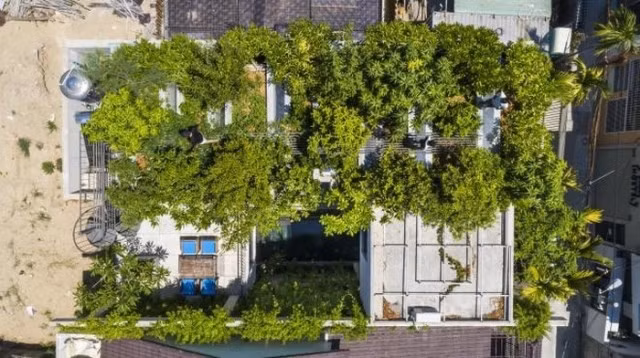 Deux œuvres vietnamiennes remportent FuturArc Green Leadership Award 2020 ảnh 1