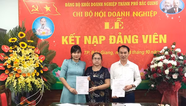 Bac Giang cherche à développer les organisations du Parti du secteur privé ảnh 1