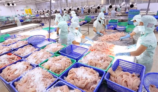 Les exportations de produits aquatiques devraient atteindre 11 milliards de dollars cette année ảnh 2