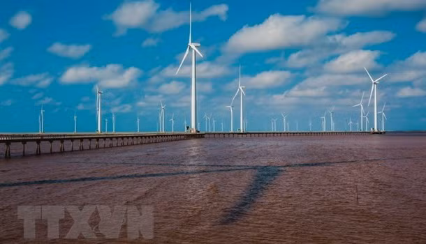 Bac Liêu privilégie le développement des énergies renouvelables ảnh 1