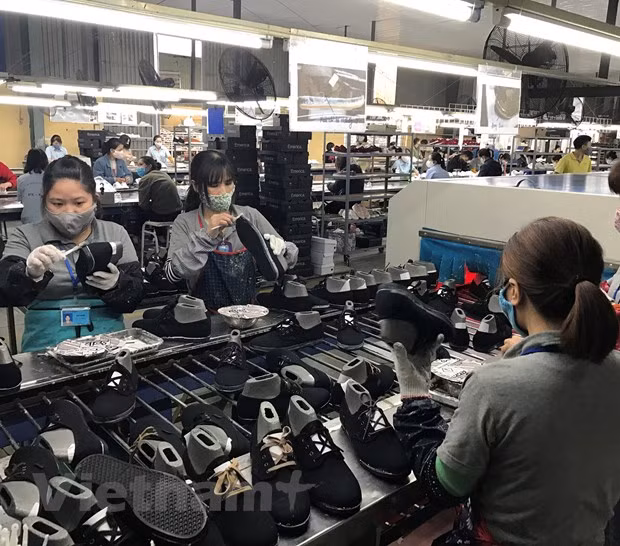 Vers une croissance des exportations de 5,5% ảnh 1