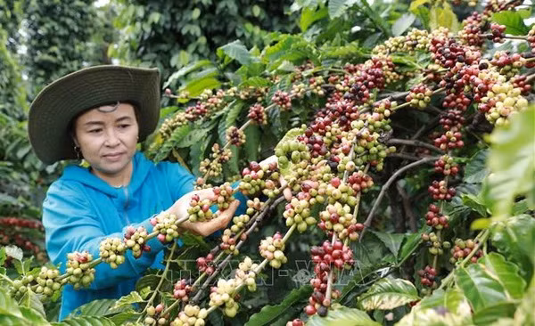 De nombreux secteurs dépassent leurs objectifs d'exportation en 2022 ảnh 1 De nombreux secteurs dépassent leurs objectifs d'exportation en 2022 ảnh 1