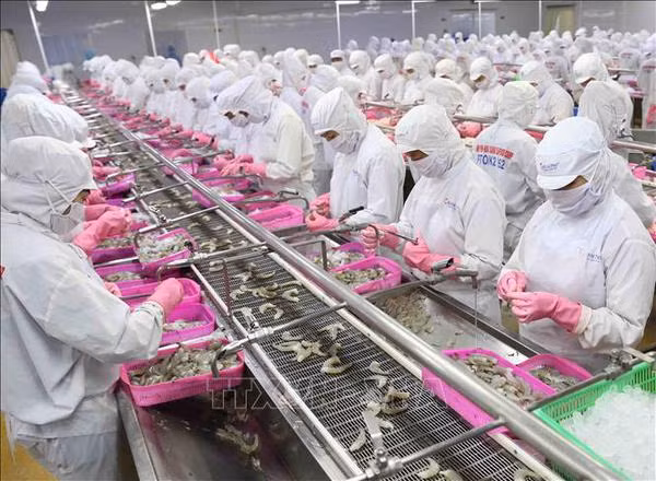 De nombreux secteurs dépassent leurs objectifs d'exportation en 2022 ảnh 2 De nombreux secteurs dépassent leurs objectifs d'exportation en 2022 ảnh 2