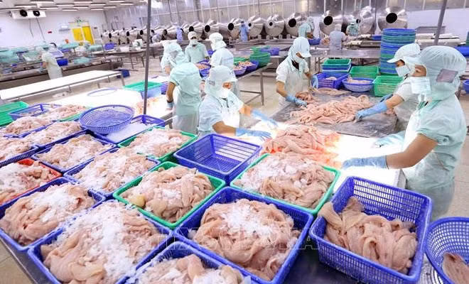 Produits aquatiques: les exportateurs nationaux face à de grandes opportunités en 2022 ảnh 1