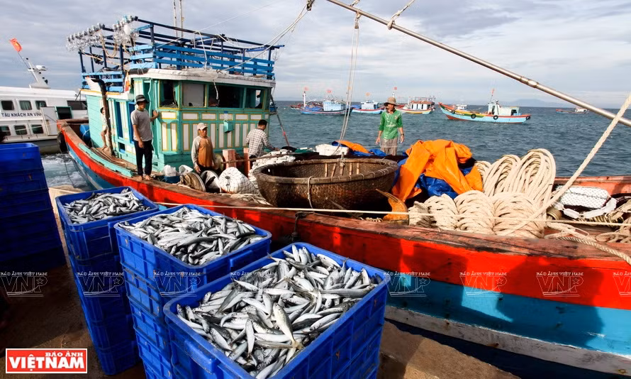 Produits aquatiques: les exportateurs nationaux face à de grandes opportunités en 2022 ảnh 2