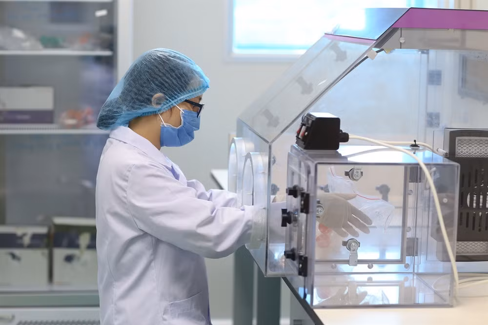 Mission spéciale et honorable : recherche, rassemblement et identification des restes des soldats morts pour la Patrie ảnh 3