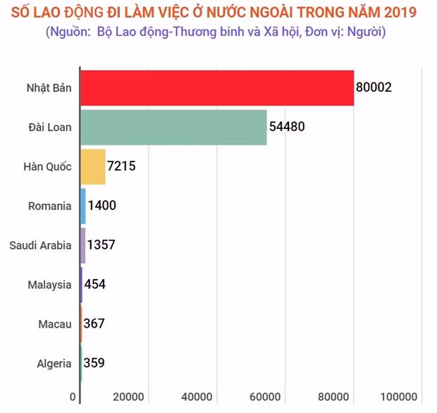 De nombreuses opportunités d’emploi en Europe pour les travailleurs vietnamiens en 2020 ảnh 2