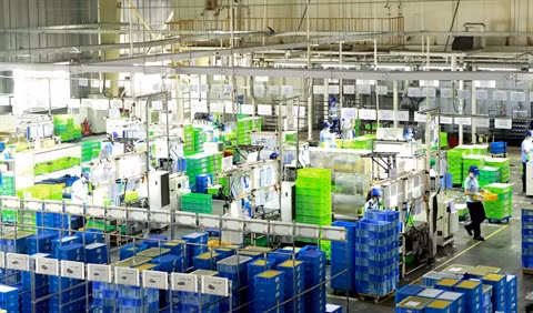 De nombreuses grandes entreprises électroniques se tournent vers le Vietnam ảnh 2