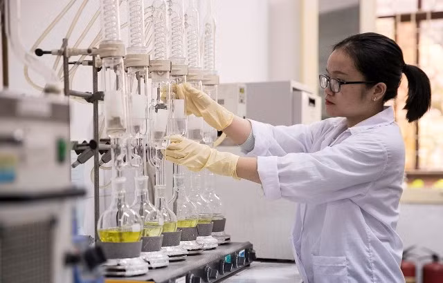 Promulgation de la stratégie de développement de la science, de la technologie et de l'innovation/P1 ảnh 1