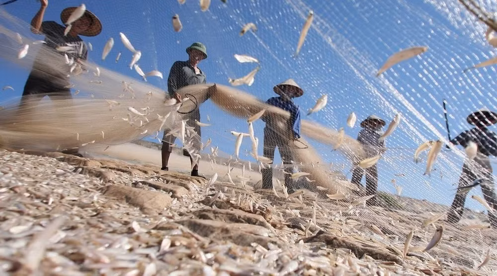 Renforcer les arguments scientifiques pour le développement durable de l'économie maritime ảnh 1