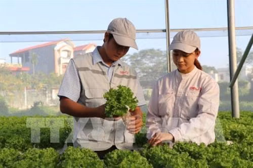 Bac Giang : Appliquer des avancées scientifiques dans le développement des zones rurales ảnh 2