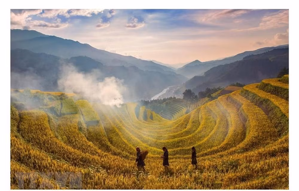 CNBC fait l'éloge de la beauté de Mu Cang Chai ảnh 1