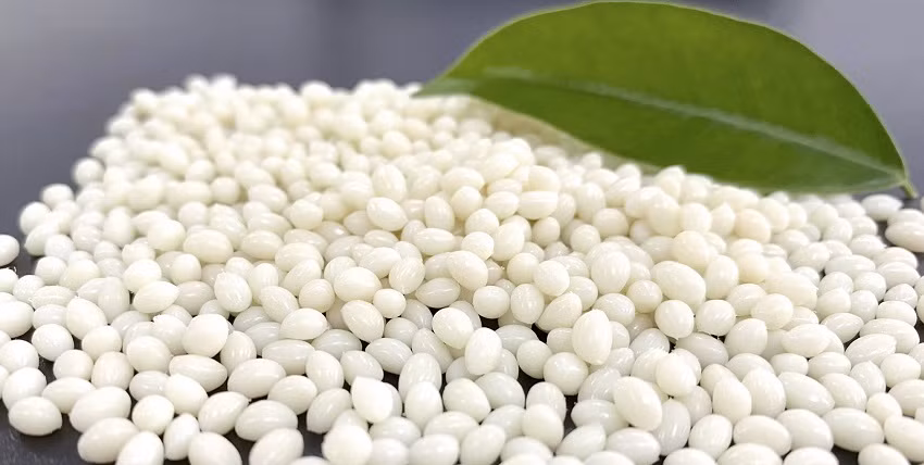 Des matériaux bioplastiques "made in Vietnam" à la conquête du marché nord-américain ảnh 1