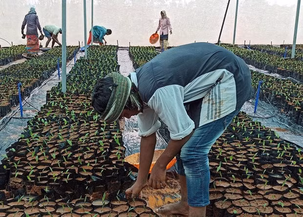 Malaisie : décaissement plus de 4 milliards de dollars pour un programme de soutien salarial ảnh 1