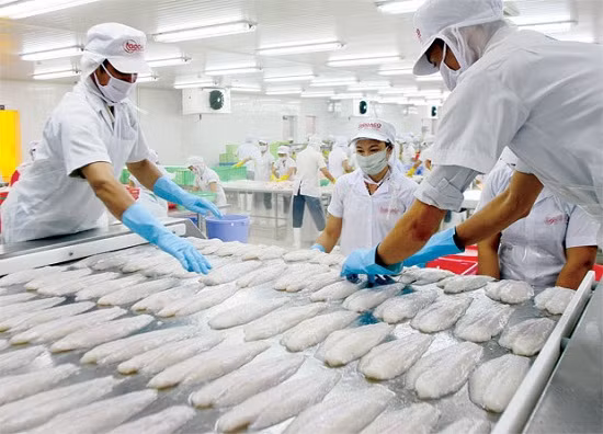 1er trimestre: les exportations de produits aquatiques en hausse de près de 8% ảnh 1