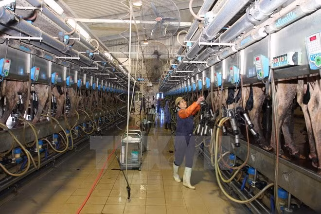 Valoriser des potentiels de coopération Vietnam-Bashkortostan ảnh 1 Valoriser des potentiels de coopération Vietnam-Bashkortostan ảnh 1