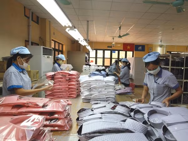 Bond des exportations nationales vers le Japon au 1er trimestre ảnh 1