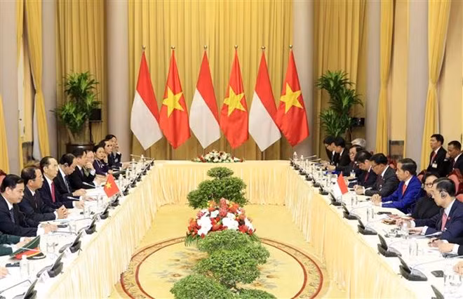 Entretien entre les présidents vietnamien Trân Dai Quang et indonésien Joko Widodo ảnh 1