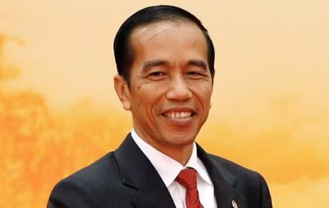 Le président indonésien Joko Widodo effectuera une visite d’État au Vietnam ảnh 1