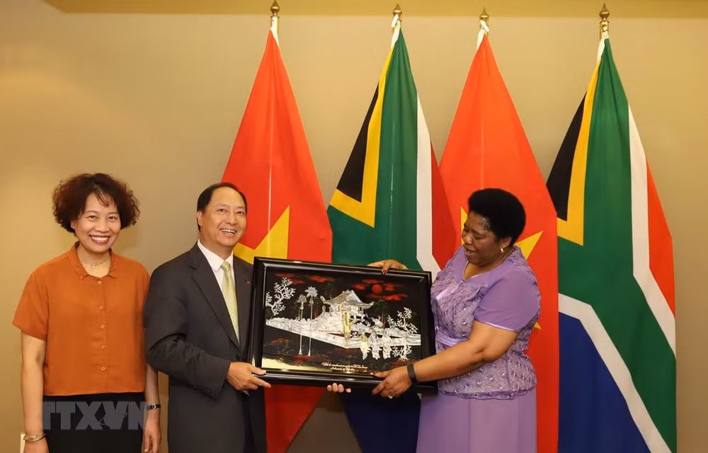 L'Afrique du Sud considère le Vietnam comme l'un des principaux partenaires en Asie du Sud-Est ảnh 1