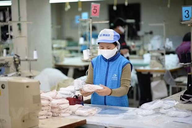 Les entreprises vietnamiennes ont une capacité suffisante pour produire de masques anti-épidémiques ảnh 1