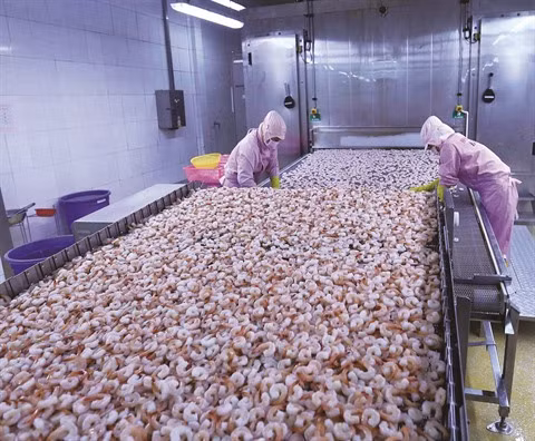 Coronavirus : les entreprises exportatrices sous forte pression ảnh 2