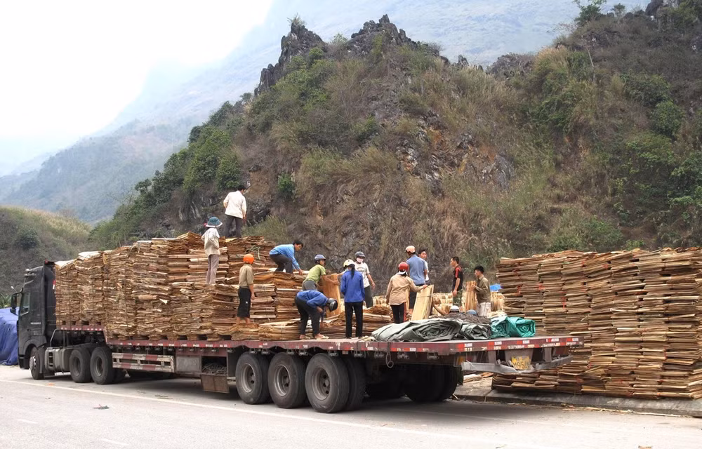 COVID-19: premiers lots d'exportation autorisés à la porte frontalière de Thanh Thuy ảnh 1