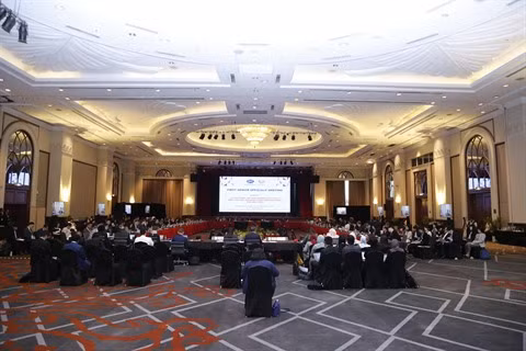 La Malaisie reporte une réunion de l’APEC en raison la pandémie de COVID-19 ảnh 1