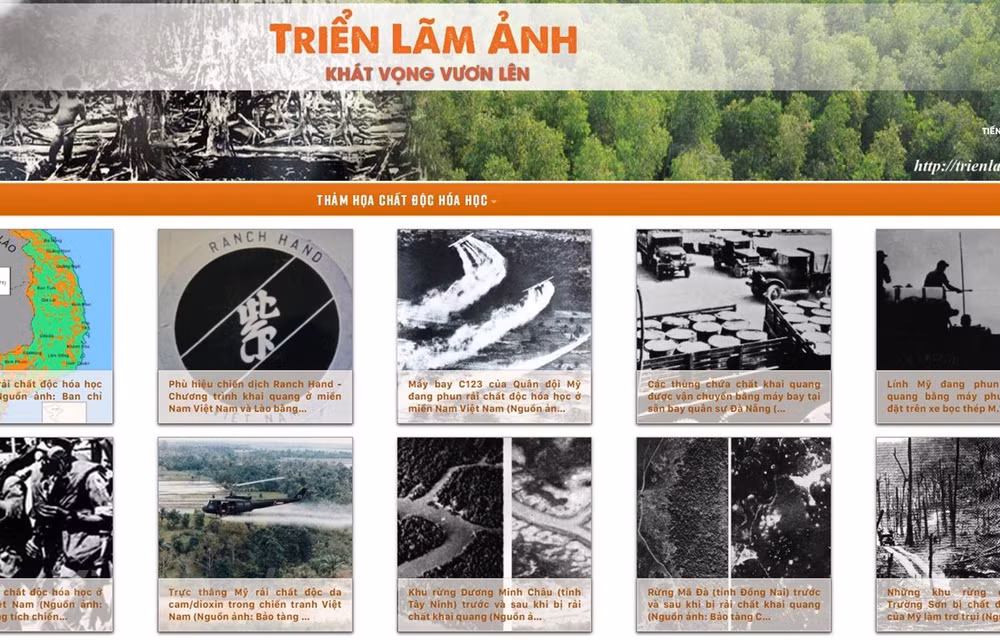 "L’aspiration de se lever", un panorama de la catastrophe de l'agent orange au Vietnam ảnh 1