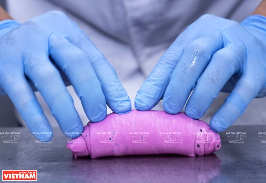 Le pain au fruit du dragon, la petite douceur née de la crise de COVID-19 ảnh 3