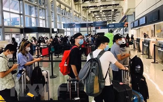 COVID-19 : rapatriement de plus de 340 citoyens vietnamiens bloqués en Russie ảnh 1