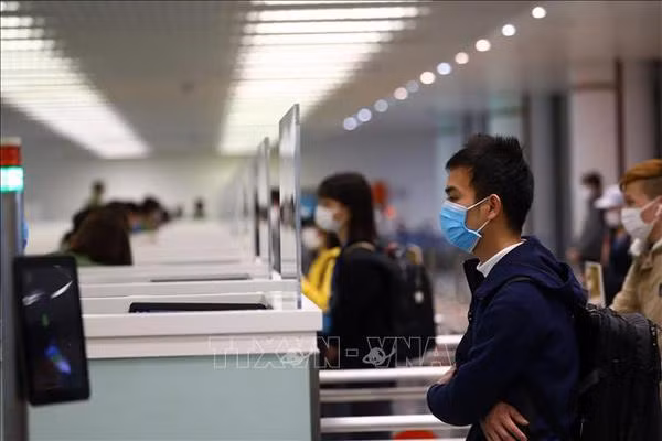 Réaction du Département de l'immigration face aux informations sur la délivrance électronique de visas ảnh 1