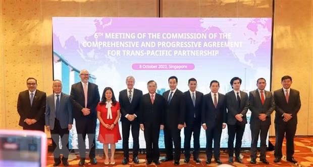 Le Vietnam à la sixième session du Conseil du CPTPP ảnh 1