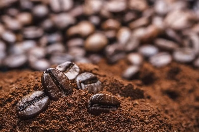 Plus de 3 milliards d’USD d'exportations de café en 9 mois ảnh 1