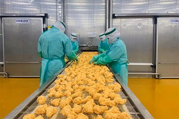 Le poulet transformé du Vietnam entré au Japon pour la première fois ảnh 1