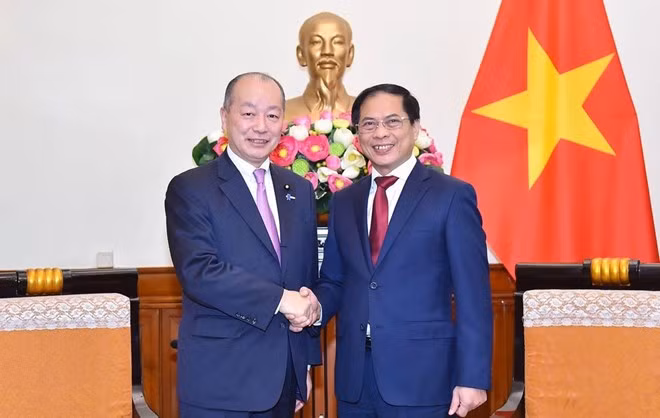 Le chef de la diplomatie reçoit un vice-ministre japonais des Affaires étrangères ảnh 1