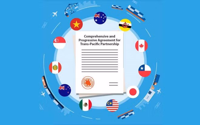 6e session de l’AN: discussions sur la ratification du CPTPP ảnh 1