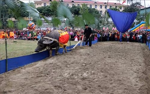 La fête de "Lông tông" attire les foules à Tuyên Quang ảnh 2